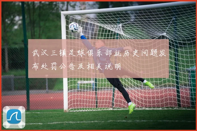 武汉三镇足球俱乐部就历史问题发布处罚公告及相关说明
